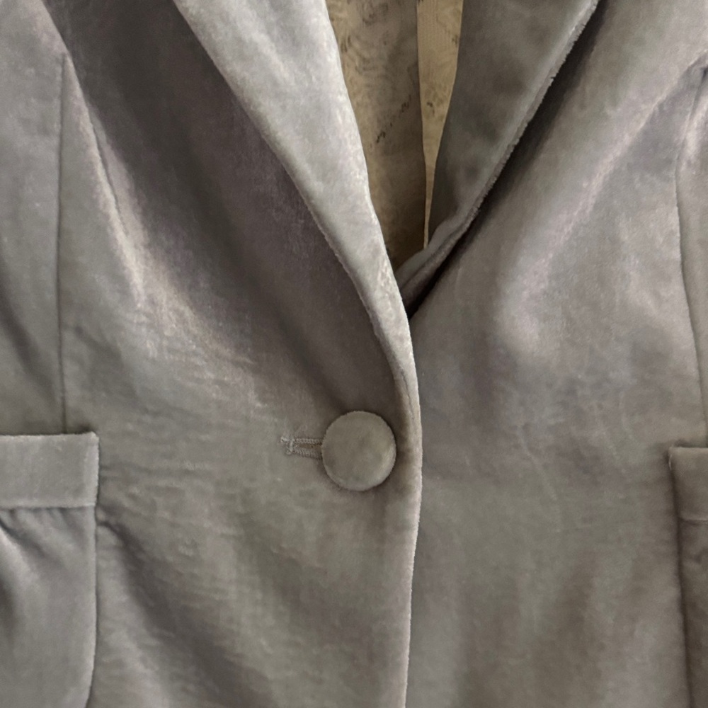 Elegant Silver Velvet Blazer - Picture 3 of 6